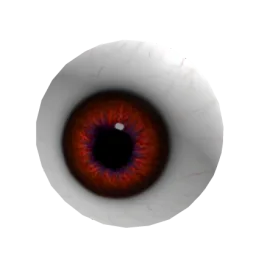Eyeball